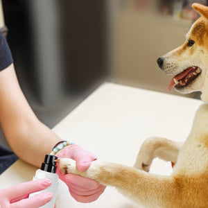 Pet Nail Grinder